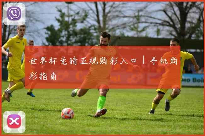 世界杯竞猜正规购彩入口｜手机购彩指南
