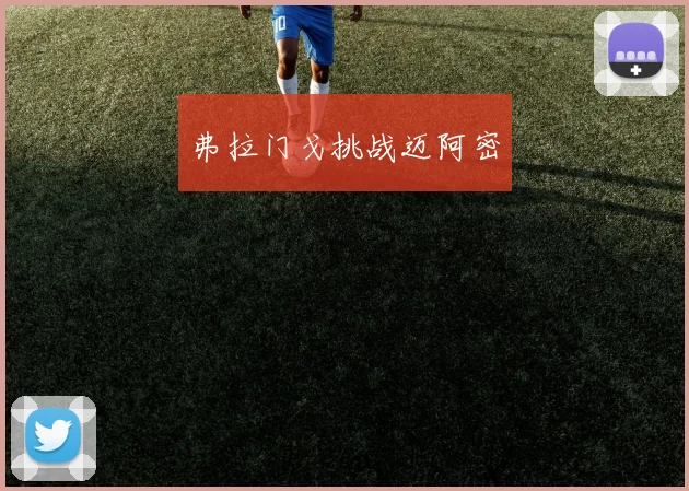 弗拉门戈挑战迈阿密