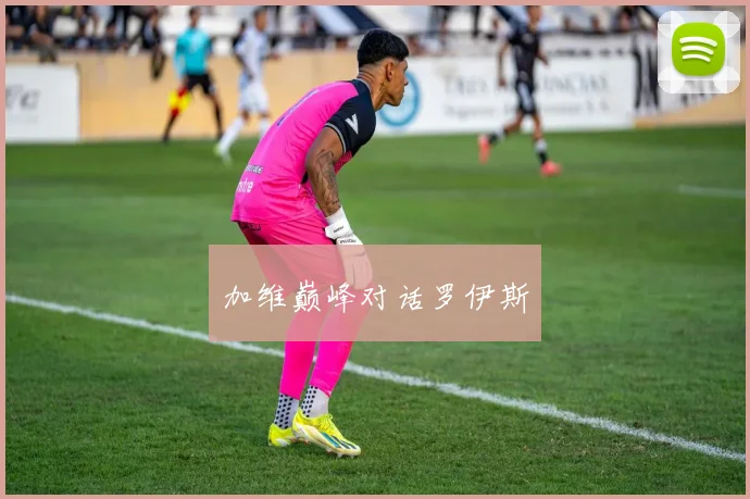加维巅峰对话罗伊斯