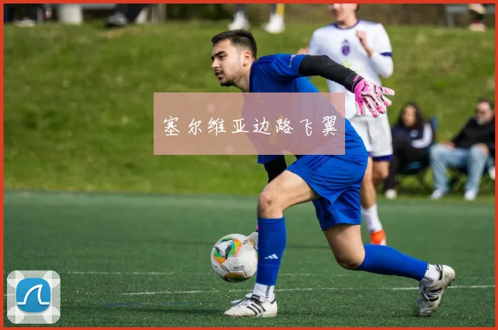 塞尔维亚边路飞翼