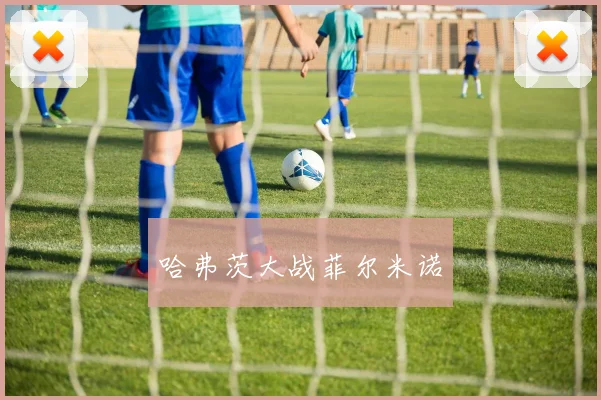 哈弗茨大战菲尔米诺